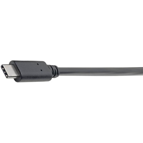 CABLE ADAPTADOR USB 3.1 GEN1 usb-tipo-c-a-usb-tipo-a-152mm UPC 0037332189295 - U428-06N-F