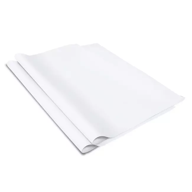 Papel rotafolio Pinos Altos blanco paque Papel bond de 68 g, medida: 70 x 95 cm, 25 hojas. - PRTB